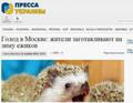 https://upforme.ru/uploads/0014/1d/02/165/t988614.jpg