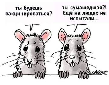 https://upforme.ru/uploads/0014/1d/02/20/t156449.jpg