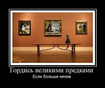 https://upforme.ru/uploads/0014/1d/02/20/t504571.jpg