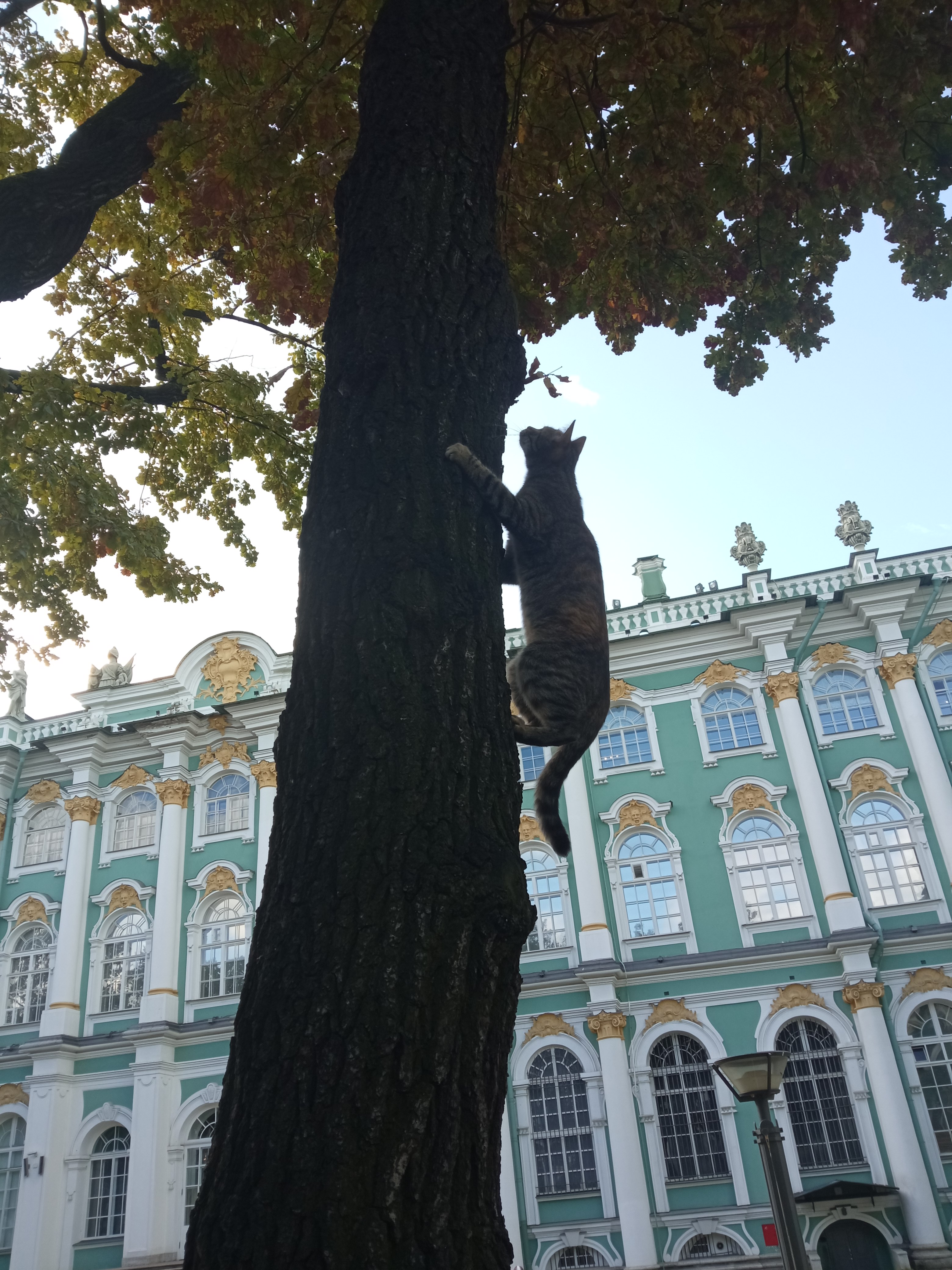 https://upforme.ru/uploads/0014/1d/02/26/439928.jpg