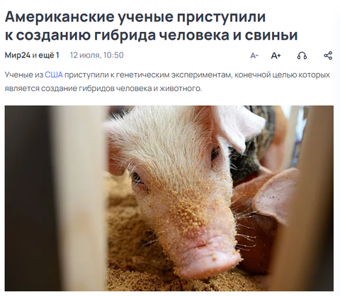 https://upforme.ru/uploads/0014/1d/02/3/t159876.png