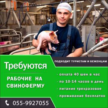 https://upforme.ru/uploads/0014/1d/02/30/t242984.jpg