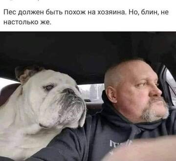https://upforme.ru/uploads/0014/1d/02/30/t475110.jpg