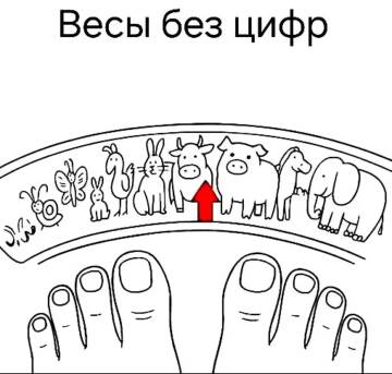 https://upforme.ru/uploads/0014/1d/02/5/t637231.jpg