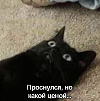 https://upforme.ru/uploads/0014/38/54/2/286835.png