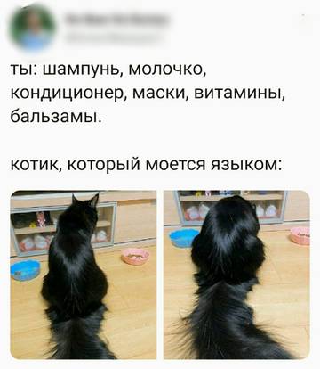 https://upforme.ru/uploads/0014/3b/b9/2/t24710.jpg