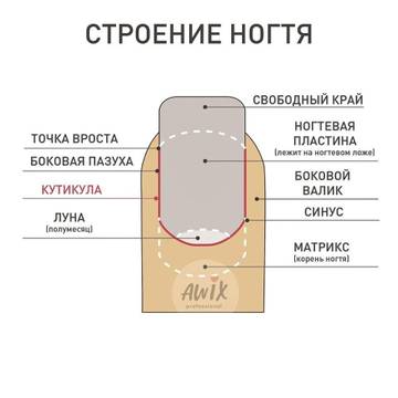 https://upforme.ru/uploads/0014/3b/b9/2/t408534.jpg