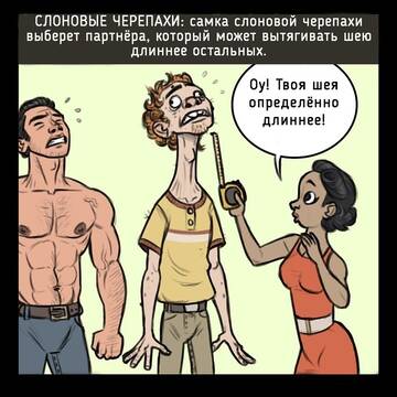https://upforme.ru/uploads/0014/3b/b9/2/t456953.jpg