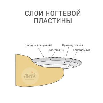 https://upforme.ru/uploads/0014/3b/b9/2/t584193.jpg