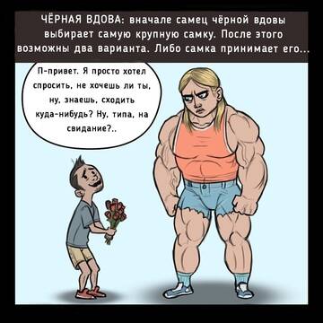 https://upforme.ru/uploads/0014/3b/b9/2/t892283.jpg