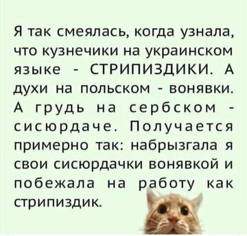 https://upforme.ru/uploads/0014/3b/b9/51/t54237.jpg