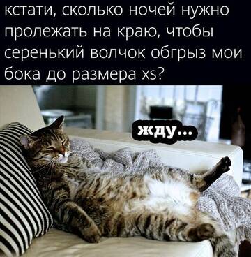 https://upforme.ru/uploads/0014/3b/b9/51/t593840.jpg