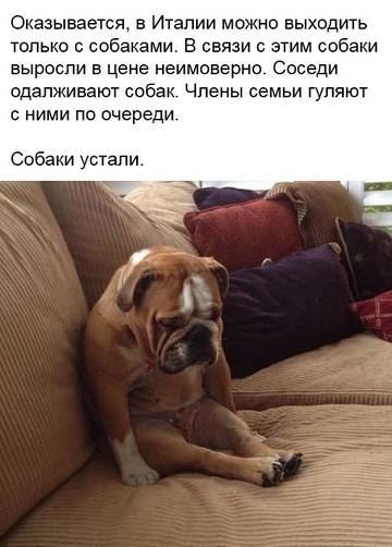 https://upforme.ru/uploads/0014/3b/b9/721/t38697.jpg