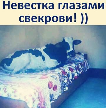 https://upforme.ru/uploads/0014/3b/b9/721/t585579.jpg