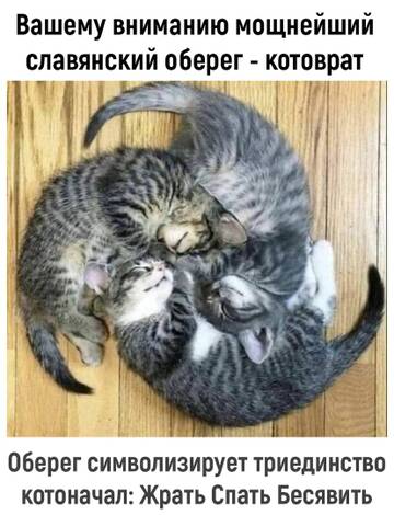 https://upforme.ru/uploads/0014/3b/b9/721/t728665.jpg
