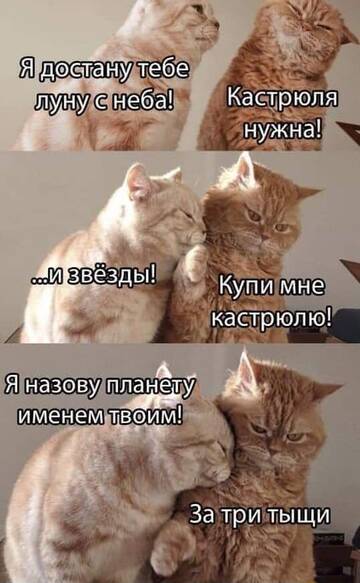 https://upforme.ru/uploads/0014/44/07/247/t756392.jpg