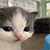 https://upforme.ru/uploads/0014/4a/23/208/384030.gif