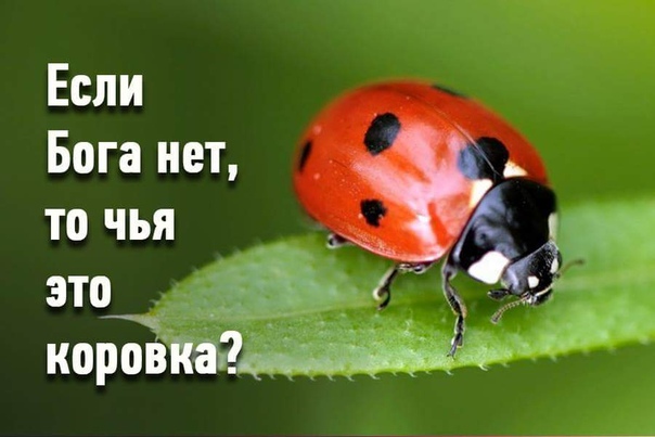 https://upforme.ru/uploads/0014/63/1f/3/156202.jpg