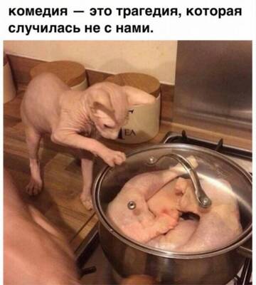 https://upforme.ru/uploads/0014/6e/c5/721/t474838.jpg
