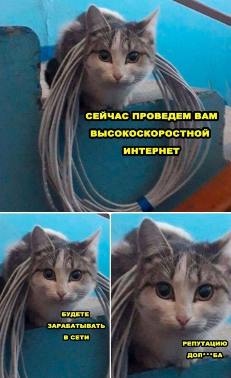 https://upforme.ru/uploads/0014/6e/c5/725/887702.jpg
