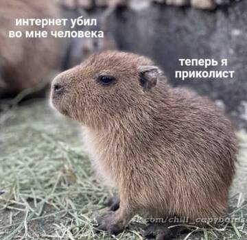 https://upforme.ru/uploads/0014/6e/c5/778/t581393.jpg