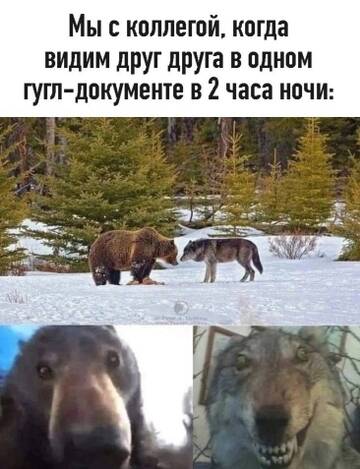 https://upforme.ru/uploads/0014/6e/c5/778/t84439.jpg