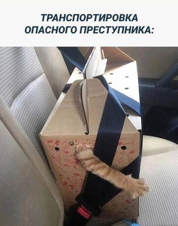 https://upforme.ru/uploads/0014/6e/c5/783/t676218.jpg