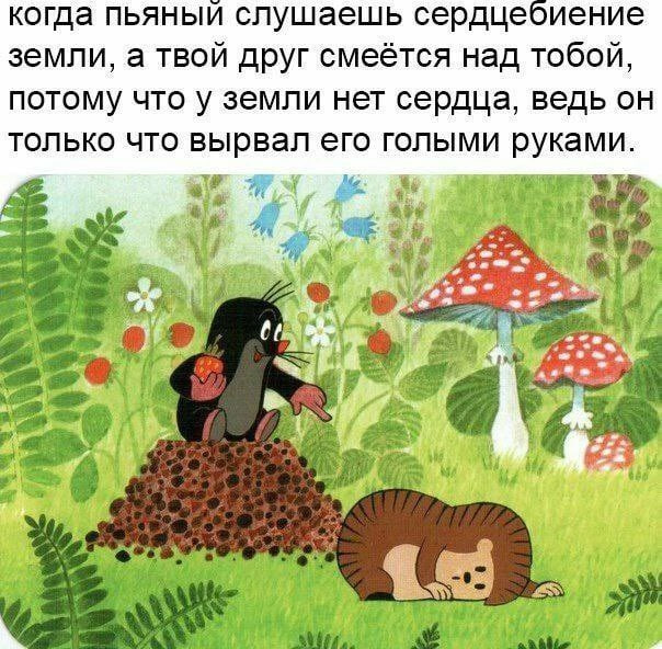 https://upforme.ru/uploads/0014/6e/c5/826/144835.jpg