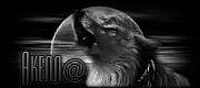 https://upforme.ru/uploads/0014/7b/b2/105/t371598.gif