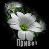 https://upforme.ru/uploads/0014/7b/b2/130/t625978.gif