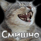 https://upforme.ru/uploads/0014/7b/b2/247/t745752.gif