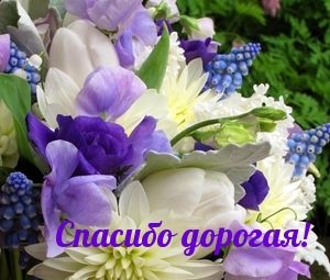 https://upforme.ru/uploads/0014/7b/b2/351/t579202.jpg
