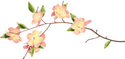https://upforme.ru/uploads/0014/7b/b2/671/t121243.png