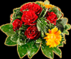 https://upforme.ru/uploads/0014/7b/b2/671/t739571.gif