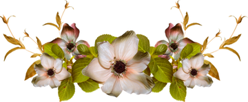 https://upforme.ru/uploads/0014/7b/b2/671/t852366.png