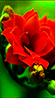 https://upforme.ru/uploads/0014/7b/b2/671/t886472.gif