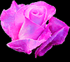 https://upforme.ru/uploads/0014/7b/b2/671/t943804.gif