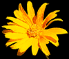 https://upforme.ru/uploads/0014/7b/b2/671/t951548.gif
