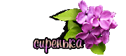 https://upforme.ru/uploads/0014/7b/b2/711/t965897.gif