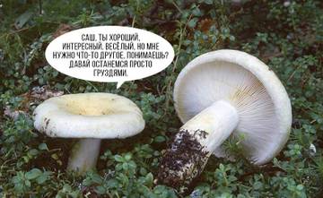 https://upforme.ru/uploads/0014/86/a5/129/t85161.jpg