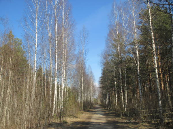 https://upforme.ru/uploads/0014/86/a5/14/t699910.jpg