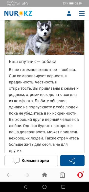 https://upforme.ru/uploads/0014/86/a5/15/t587194.jpg