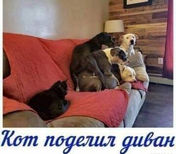 https://upforme.ru/uploads/0014/86/a5/16/t309825.jpg
