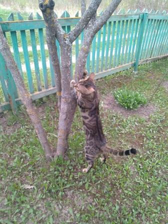 https://upforme.ru/uploads/0014/86/a5/22/t143233.jpg