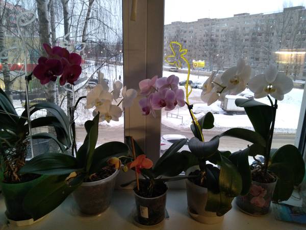 https://upforme.ru/uploads/0014/86/a5/22/t532912.jpg