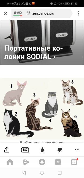 https://upforme.ru/uploads/0014/86/a5/3/t302566.jpg