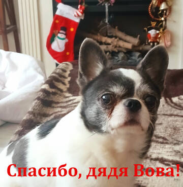 https://upforme.ru/uploads/0014/87/81/15/t225258.jpg