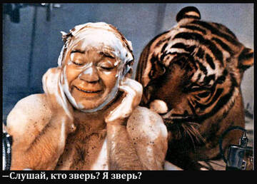 https://upforme.ru/uploads/0014/87/81/15/t305393.jpg