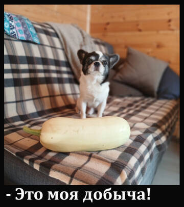 https://upforme.ru/uploads/0014/87/81/15/t381051.jpg