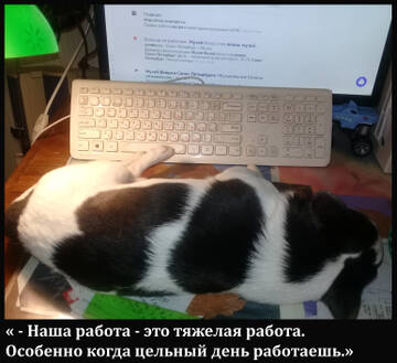 https://upforme.ru/uploads/0014/87/81/15/t510920.jpg